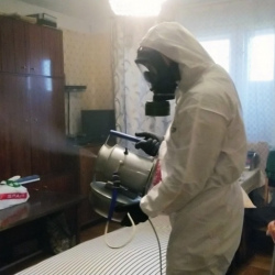 Дезинфекция от клопов в Белгороде