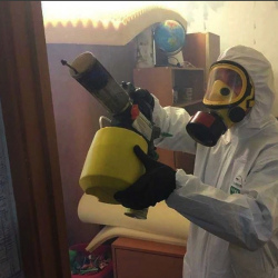 Уничтожение клопов в квартире. Белгород